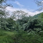 IMG_0627.jpeg