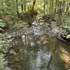 IMG_0877.jpeg